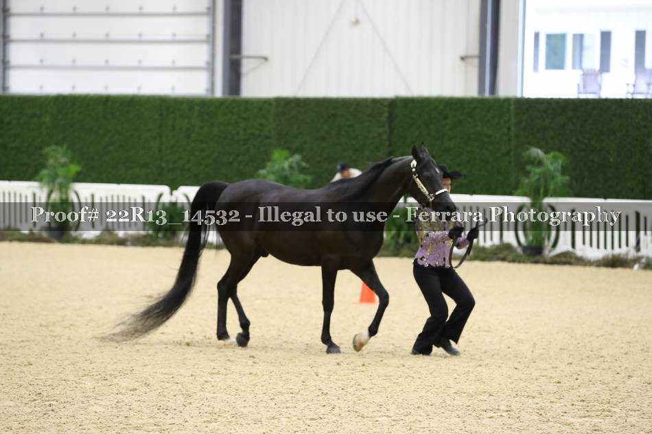 Proof 22R13_14532