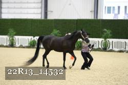 22R13_14532 proof