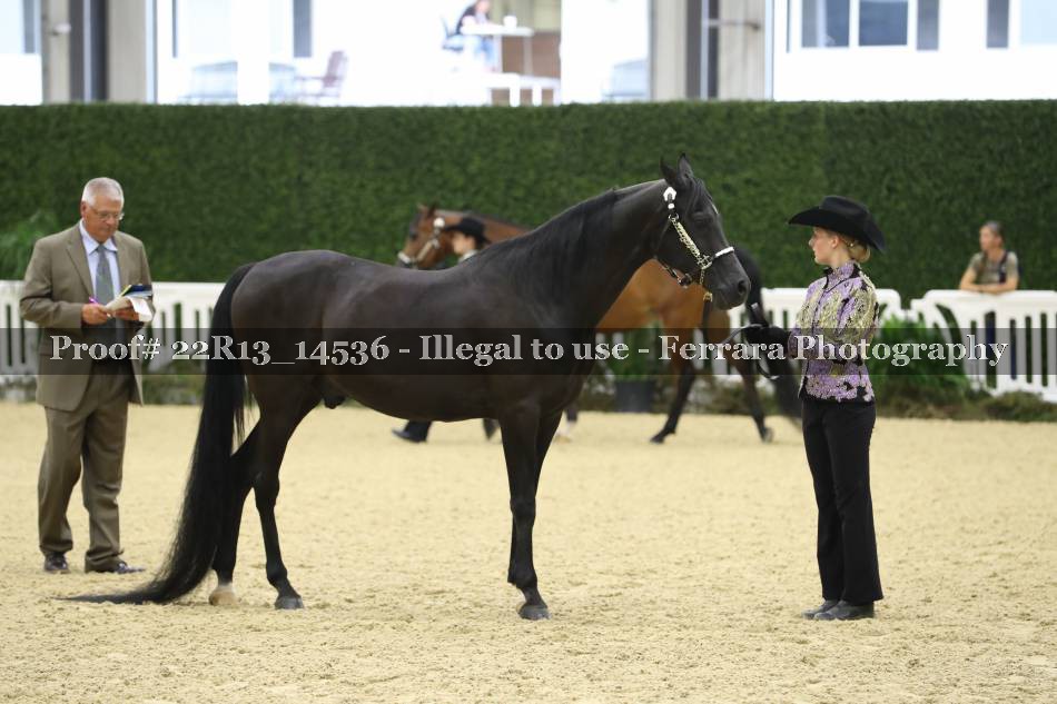 Proof 22R13_14536