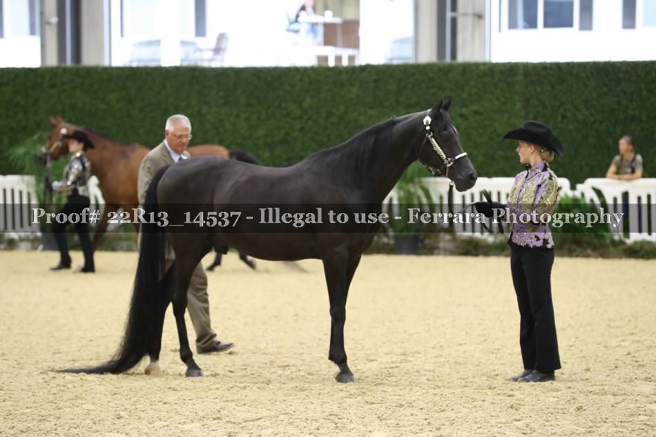 Proof 22R13_14537