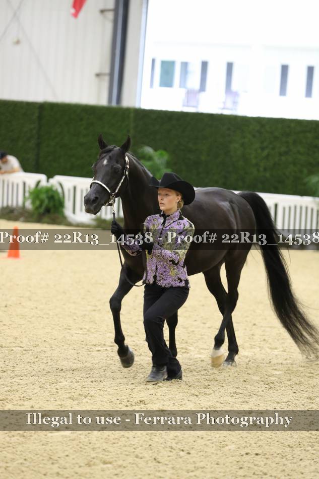 Proof 22R13_14538