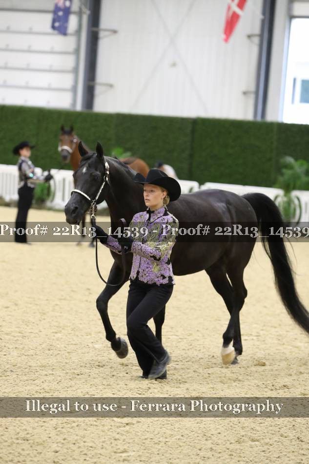 Proof 22R13_14539