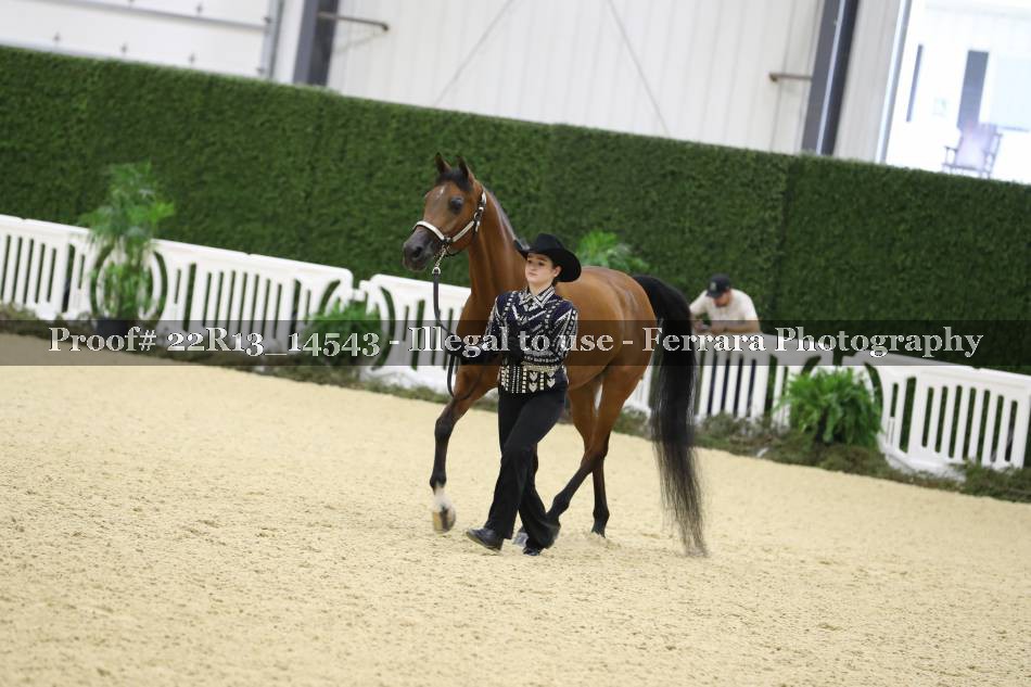 Proof 22R13_14543