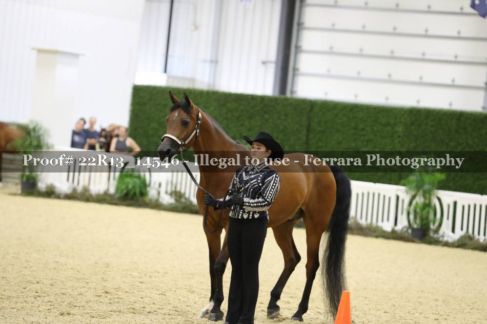 Proof 22R13_14546