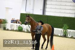 22R13_14546 proof