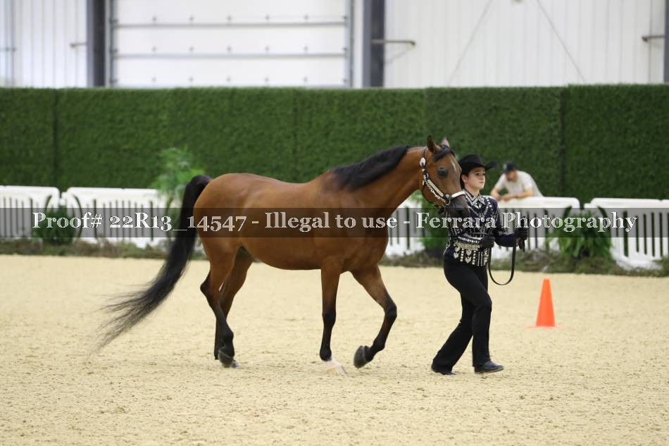 Proof 22R13_14547
