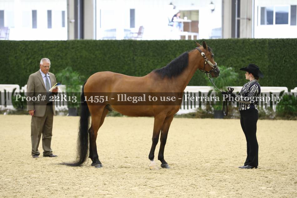 Proof 22R13_14551