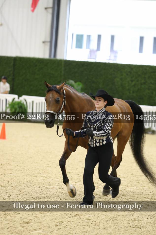 Proof 22R13_14555