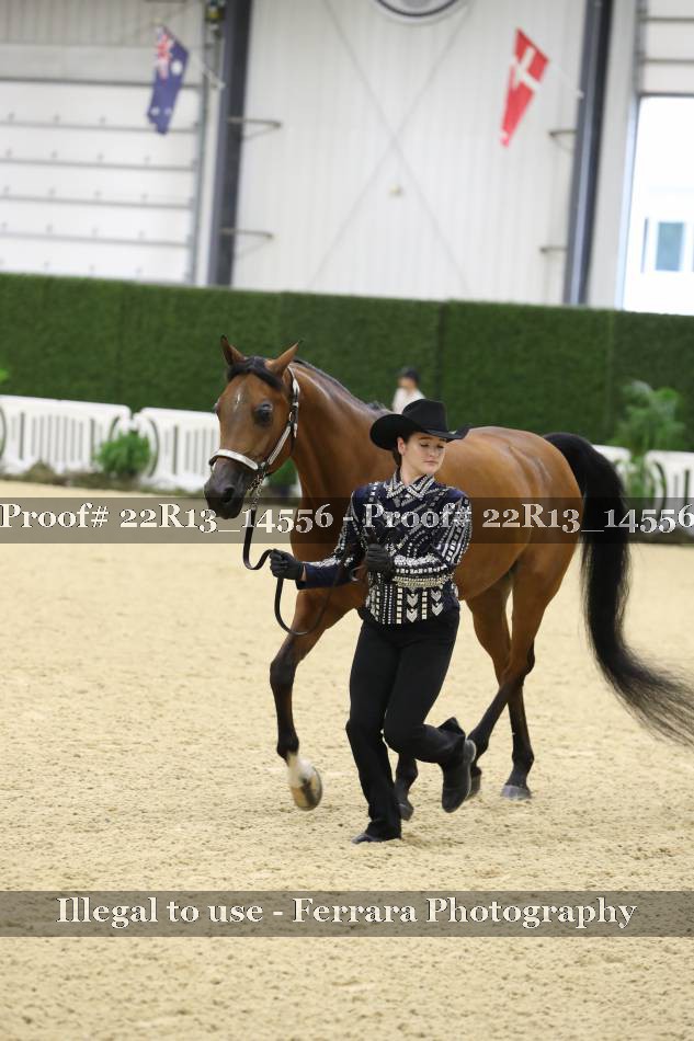 Proof 22R13_14556