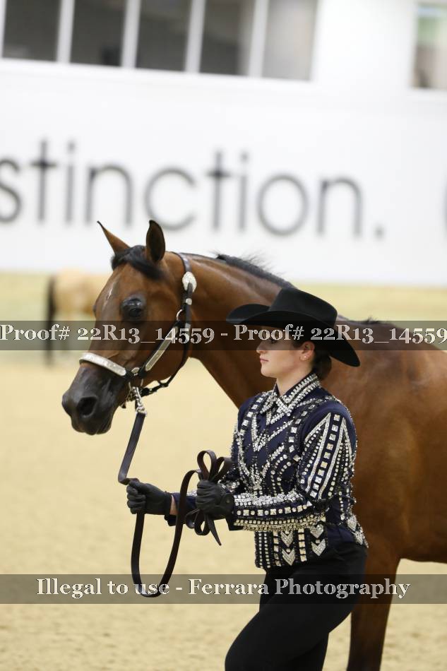 Proof 22R13_14559