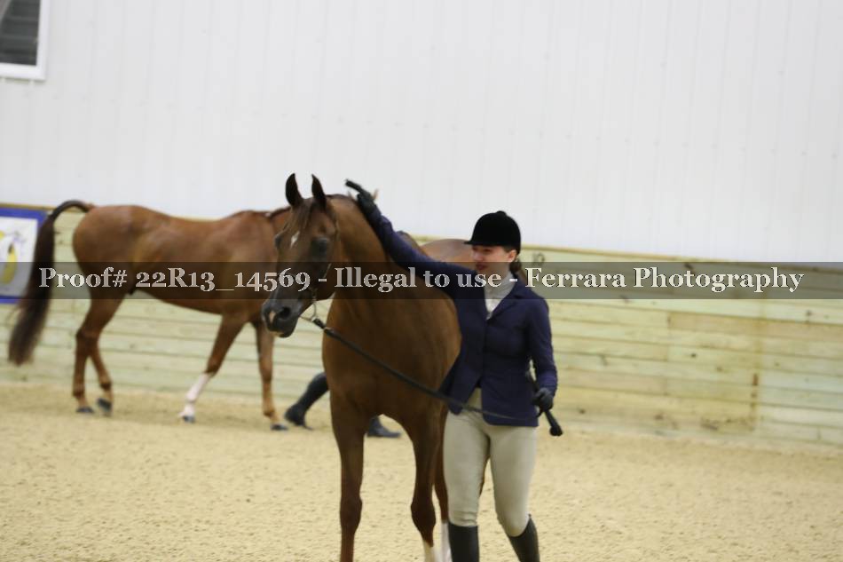 Proof 22R13_14569