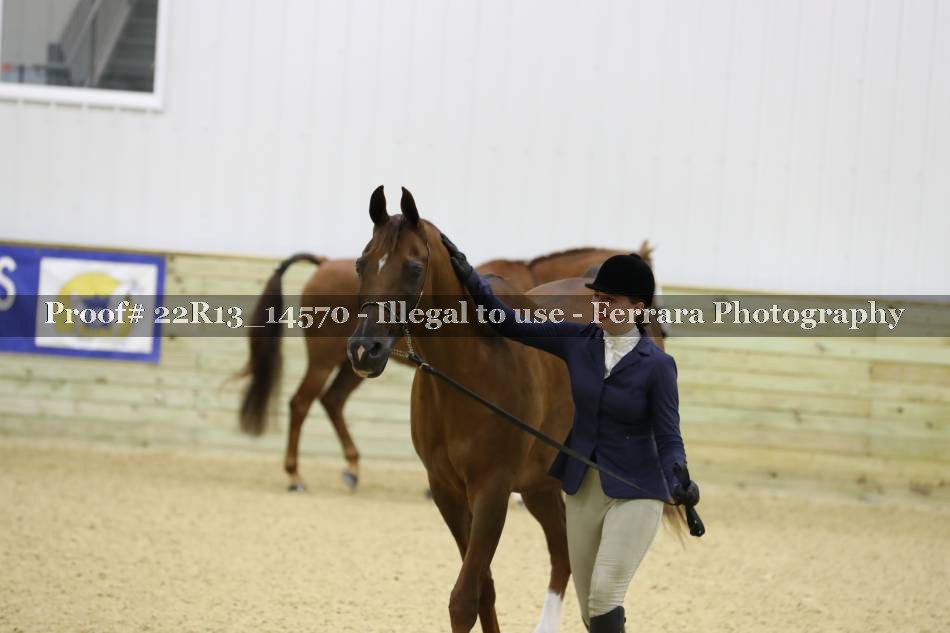 Proof 22R13_14570