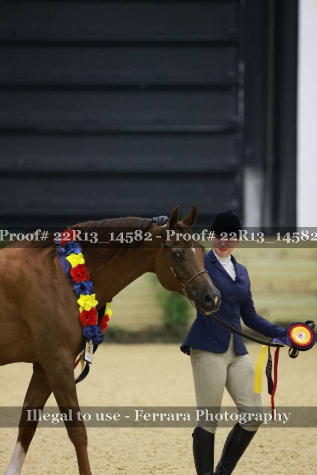 Proof 22R13_14582