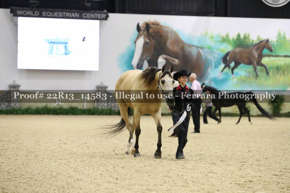 Proof 22R13_14583