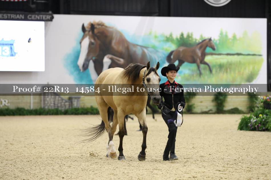 Proof 22R13_14584