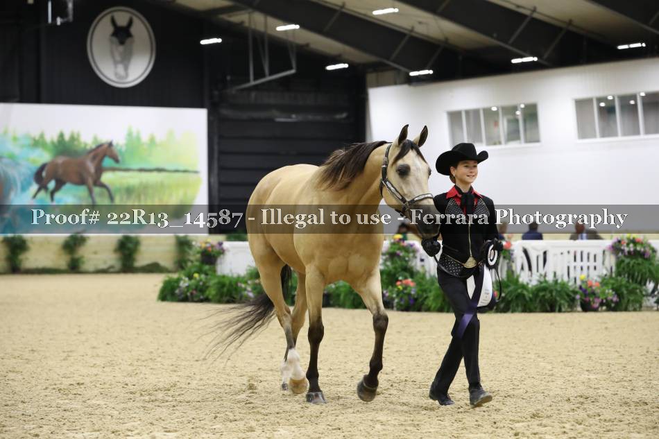 Proof 22R13_14587