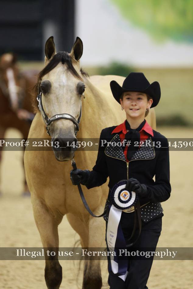 Proof 22R13_14590