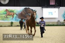 22R13_14592 proof