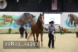 22R13_14593 proof