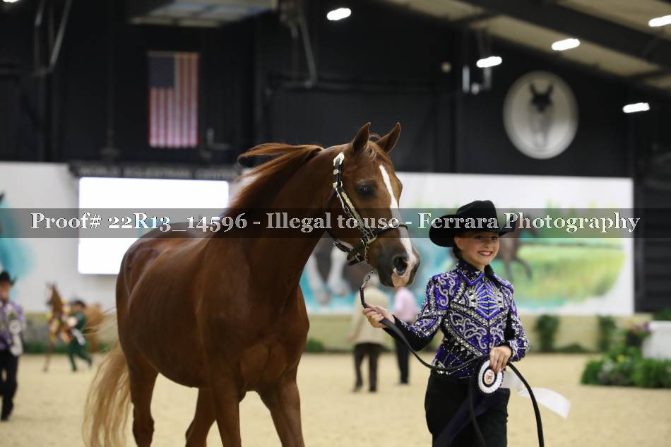 Proof 22R13_14596