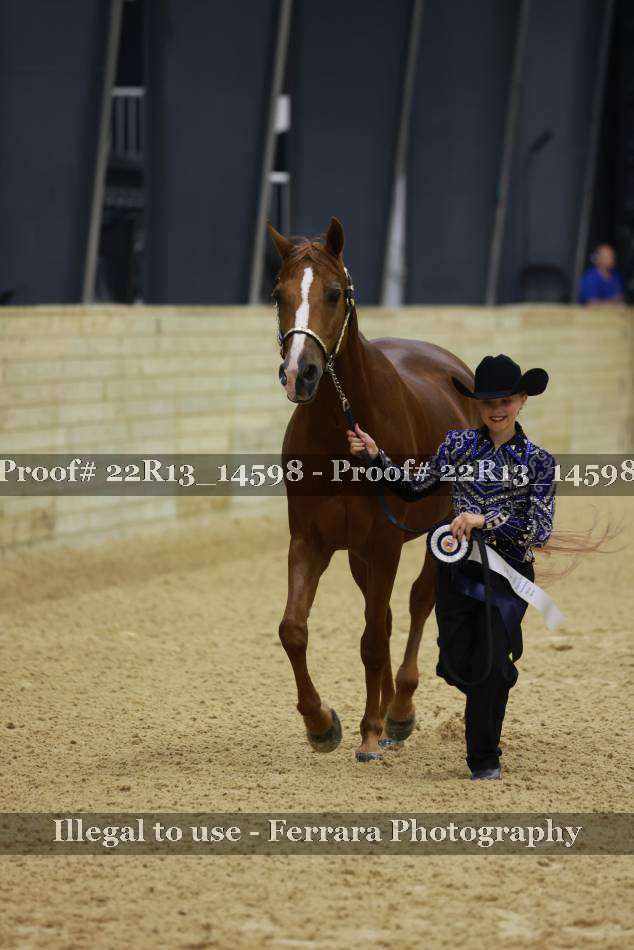 Proof 22R13_14598