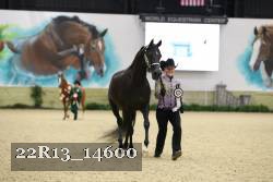 22R13_14600 proof