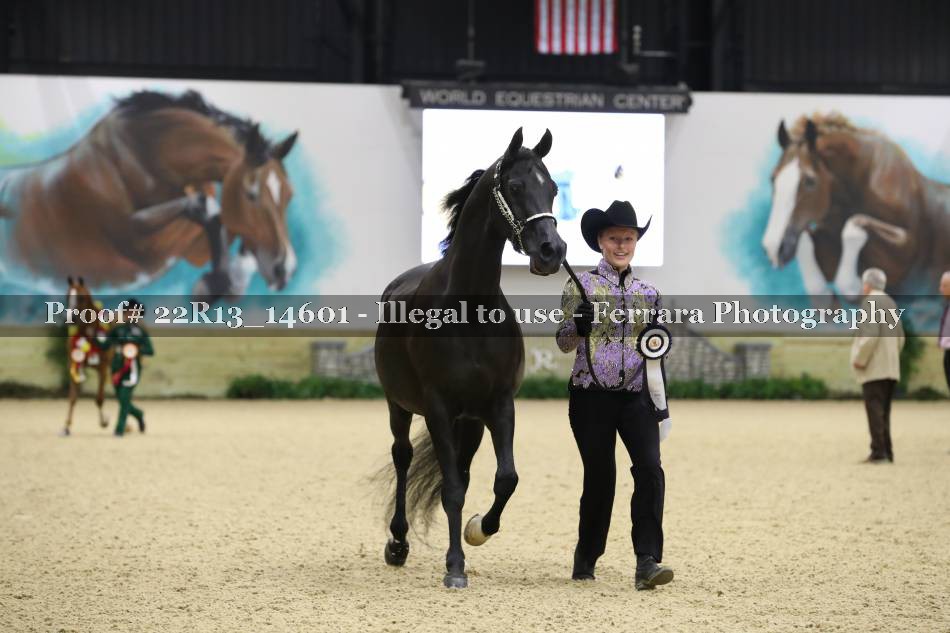 Proof 22R13_14601