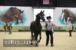 22R13_14601 proof