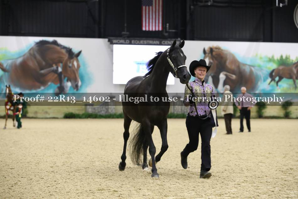 Proof 22R13_14602
