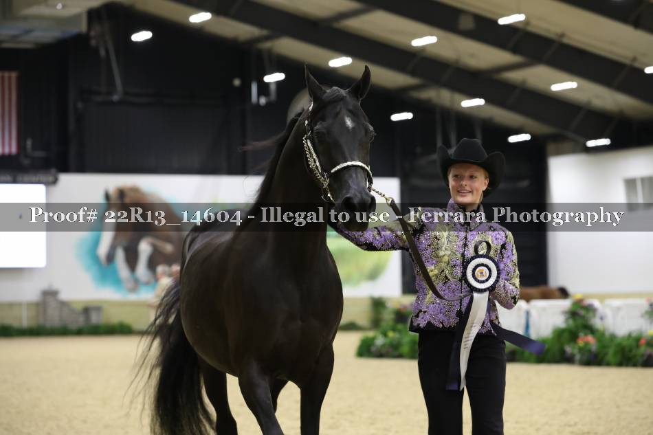 Proof 22R13_14604
