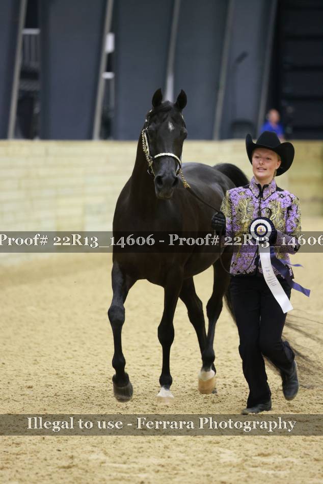 Proof 22R13_14606