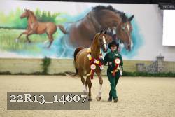 22R13_14607 proof