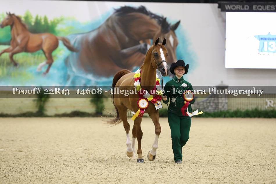 Proof 22R13_14608