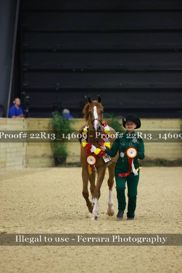 Proof 22R13_14609