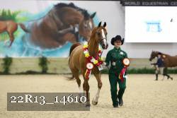 22R13_14610 proof