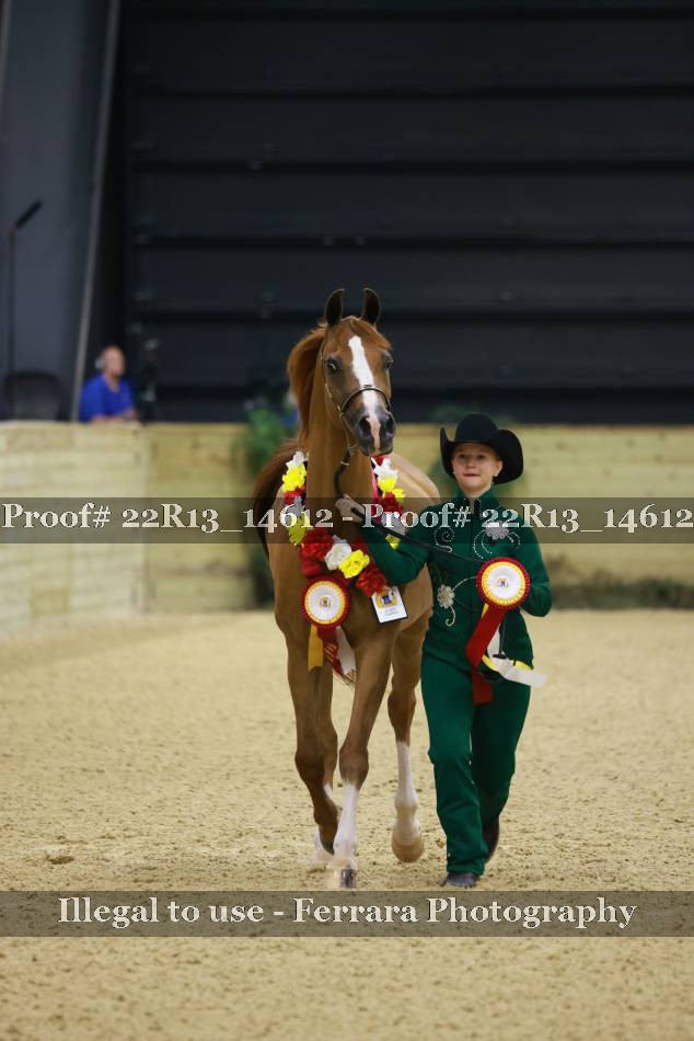 Proof 22R13_14612