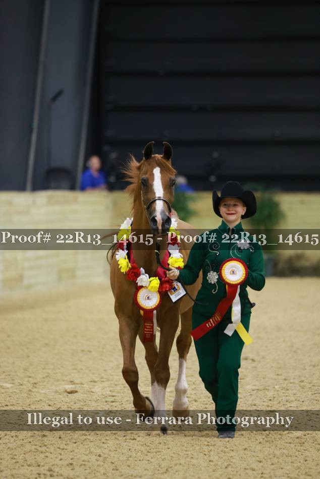 Proof 22R13_14615