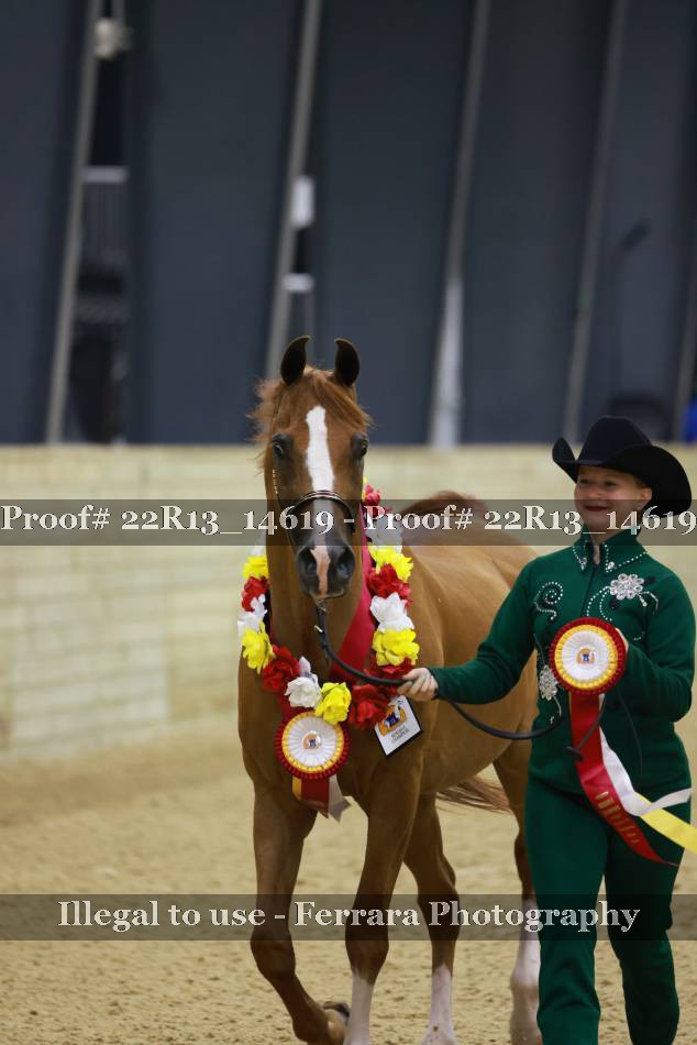 Proof 22R13_14619