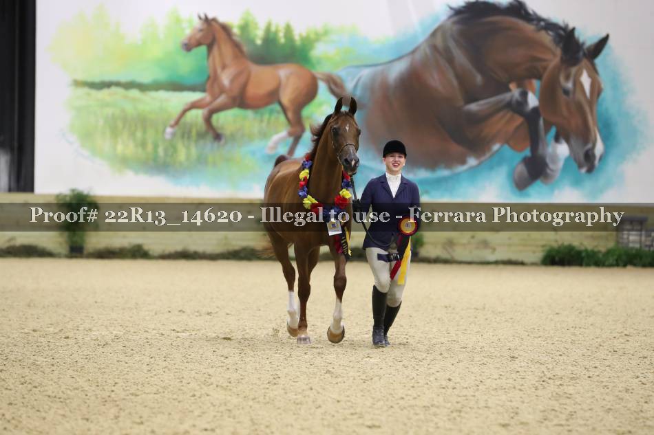 Proof 22R13_14620