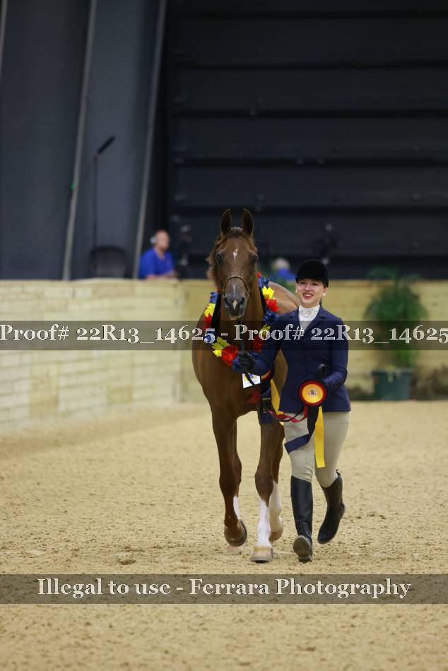 Proof 22R13_14625