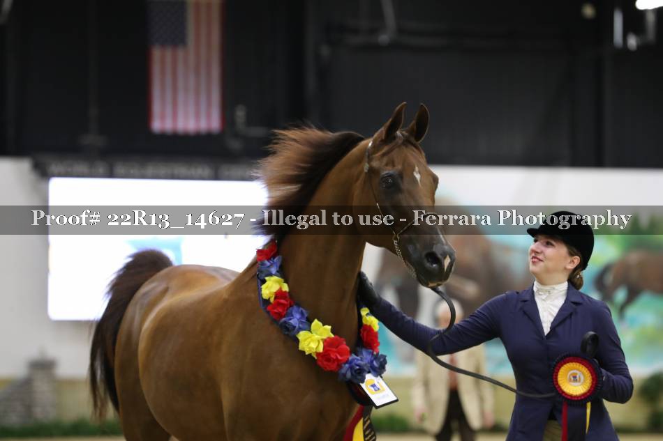 Proof 22R13_14627