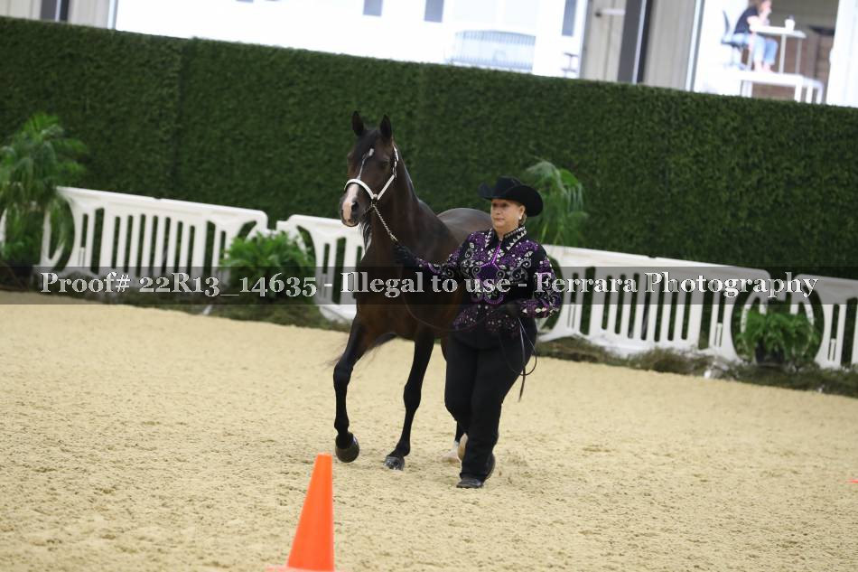 Proof 22R13_14635