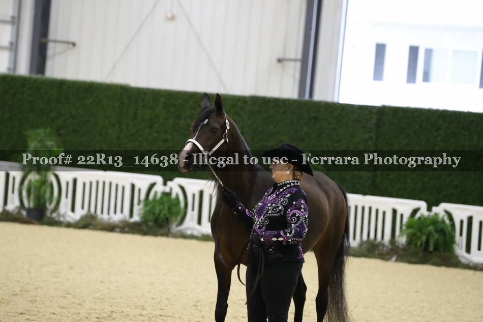 Proof 22R13_14638