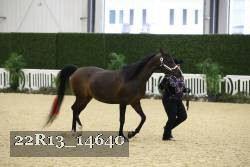 22R13_14640 proof