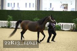 22R13_14641 proof