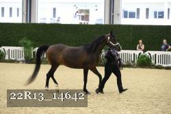 22R13_14642 proof