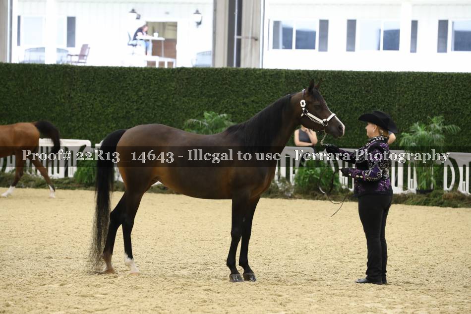 Proof 22R13_14643