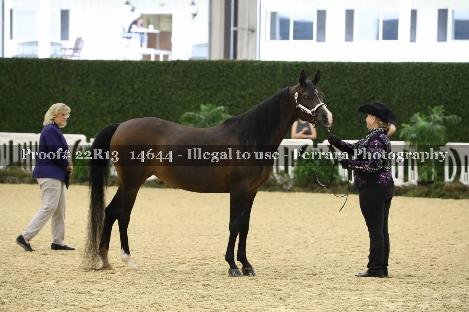 Proof 22R13_14644