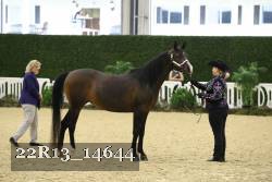 22R13_14644 proof