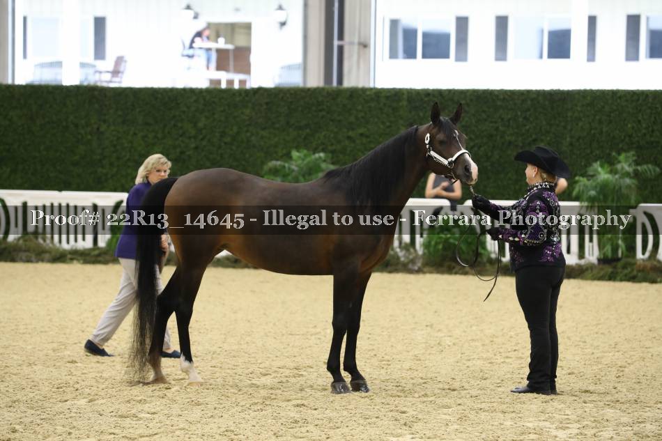 Proof 22R13_14645